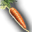 Food_Carrot_Small.png