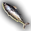 Food_Herring_Small.png