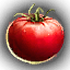 Food_Tomato_Small.png