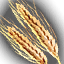 Item_Wheat_Small.png